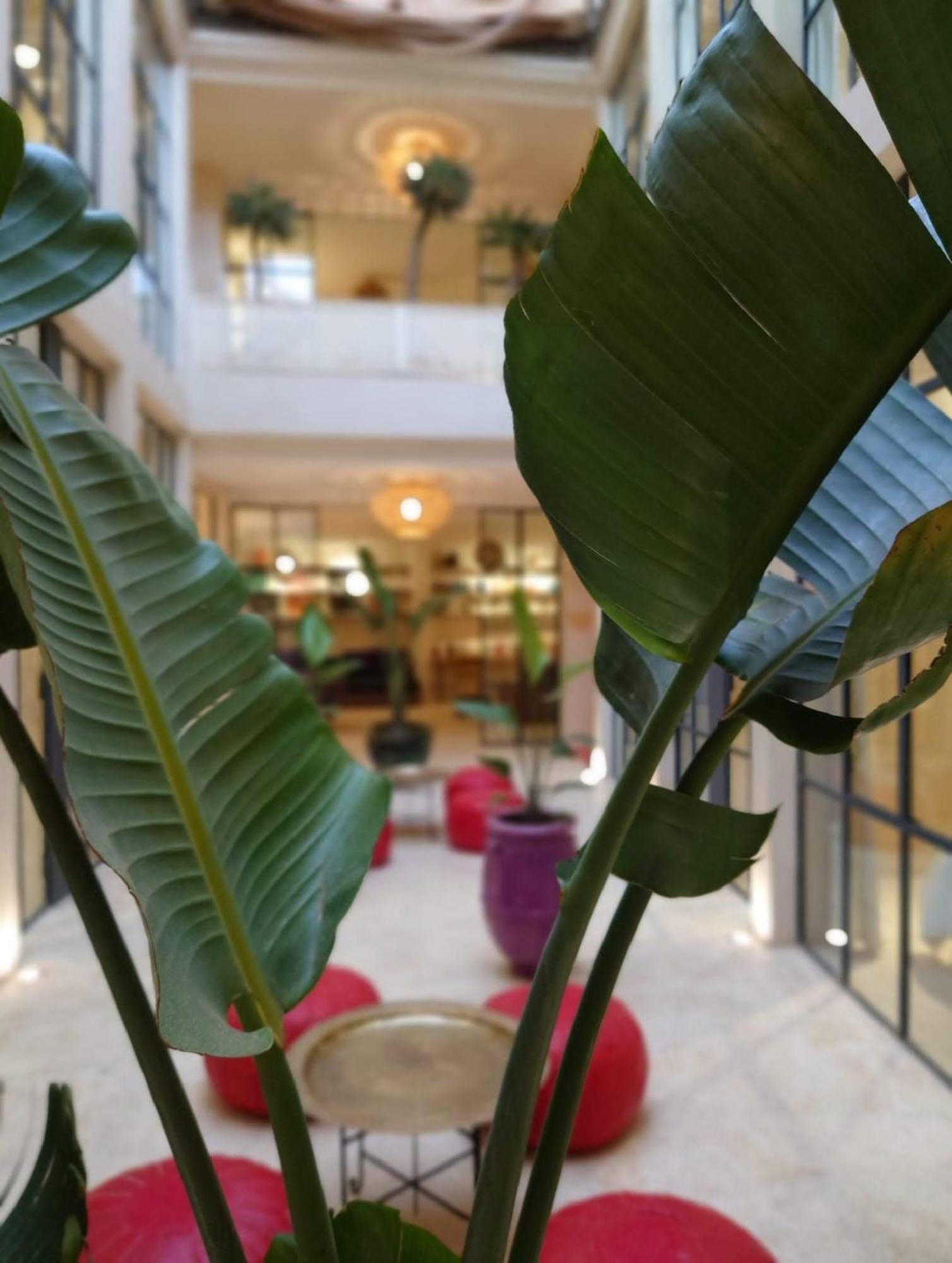 Miostello Lifestyle Marrakech Riad Marrakesch